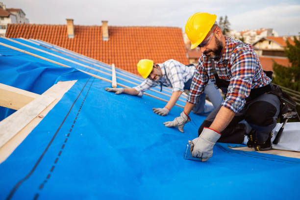 Fast & Reliable Emergency Roof Repairs in Mount Carroll, IL